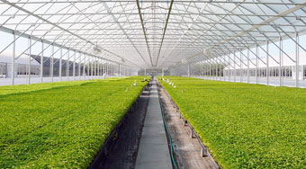 Lorem ipsum dolor sit amet